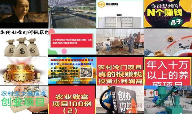 推荐几个好的 - 推荐60个发家致富好项目