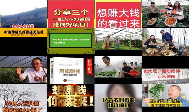 详细阅读:怎样致富赚钱农村人 - 怎样致富赚钱农村人 怎样致富赚钱农村人 - 怎样致富赚钱农村人