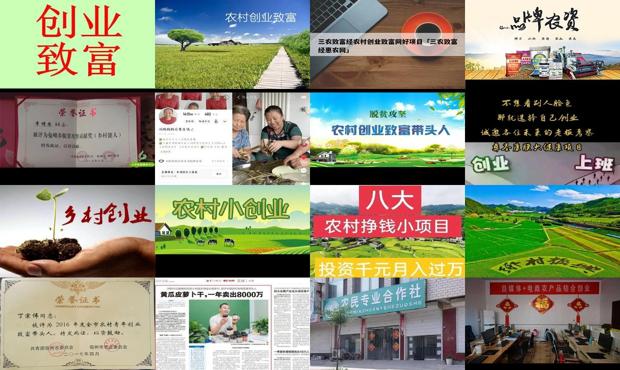 详细阅读:农村创业致富信息简报 - 农村创业致富信息网 农村创业致富信息简报 - 农村创业致富信息网