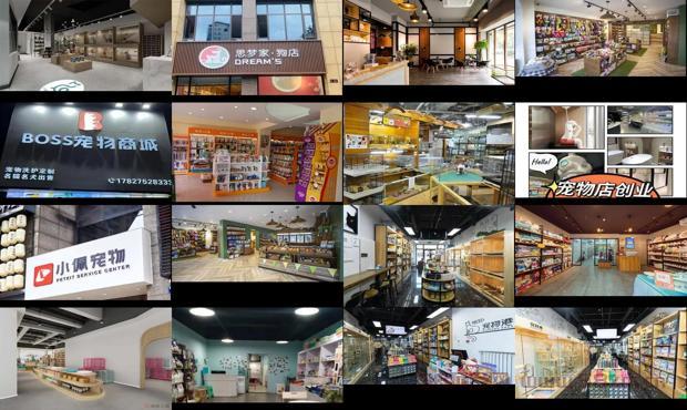 宠物店现在好做吗 - 现在宠物店的前景如何