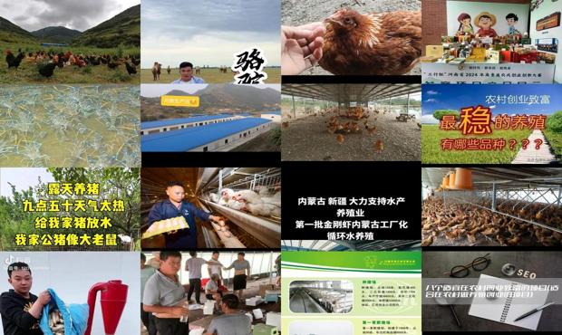 详细阅读:农村创业项目排行榜前十名昆明合作创业代加工 - 农村创业项目排行榜养殖 农村创业项目排行榜前十名昆明合作创业代加工 - 农村创业项目排行榜养殖