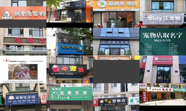 详细阅读:宠物店名字有创意 - 宠物店名字 宠物店名字有创意 - 宠物店名字