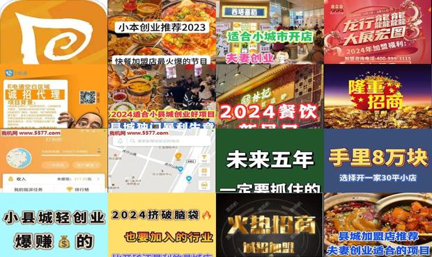 生意加盟项目策划书 - 生意加盟项目