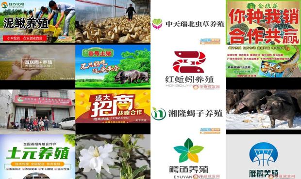 养殖加盟网站大全 - 养殖加盟网站