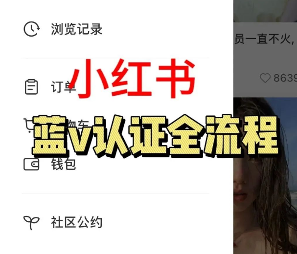 小红书企业蓝v号认证全流程，图文演示！