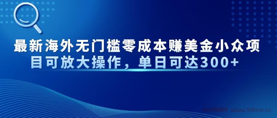 最新海外无门槛美金小众项目可放大操作，单日可达300+
