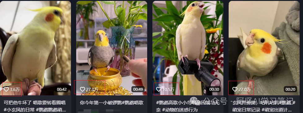 绝了！AI生成中老年最爱的鹦鹉唱歌视频，单条狂揽10W+！4步保姆级拆解