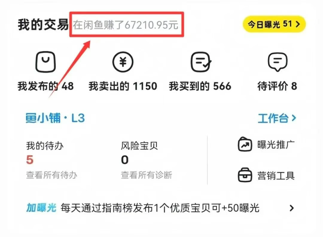 信息查小项目，两个月做了6W+，一部手机即可操作【附详细教程】