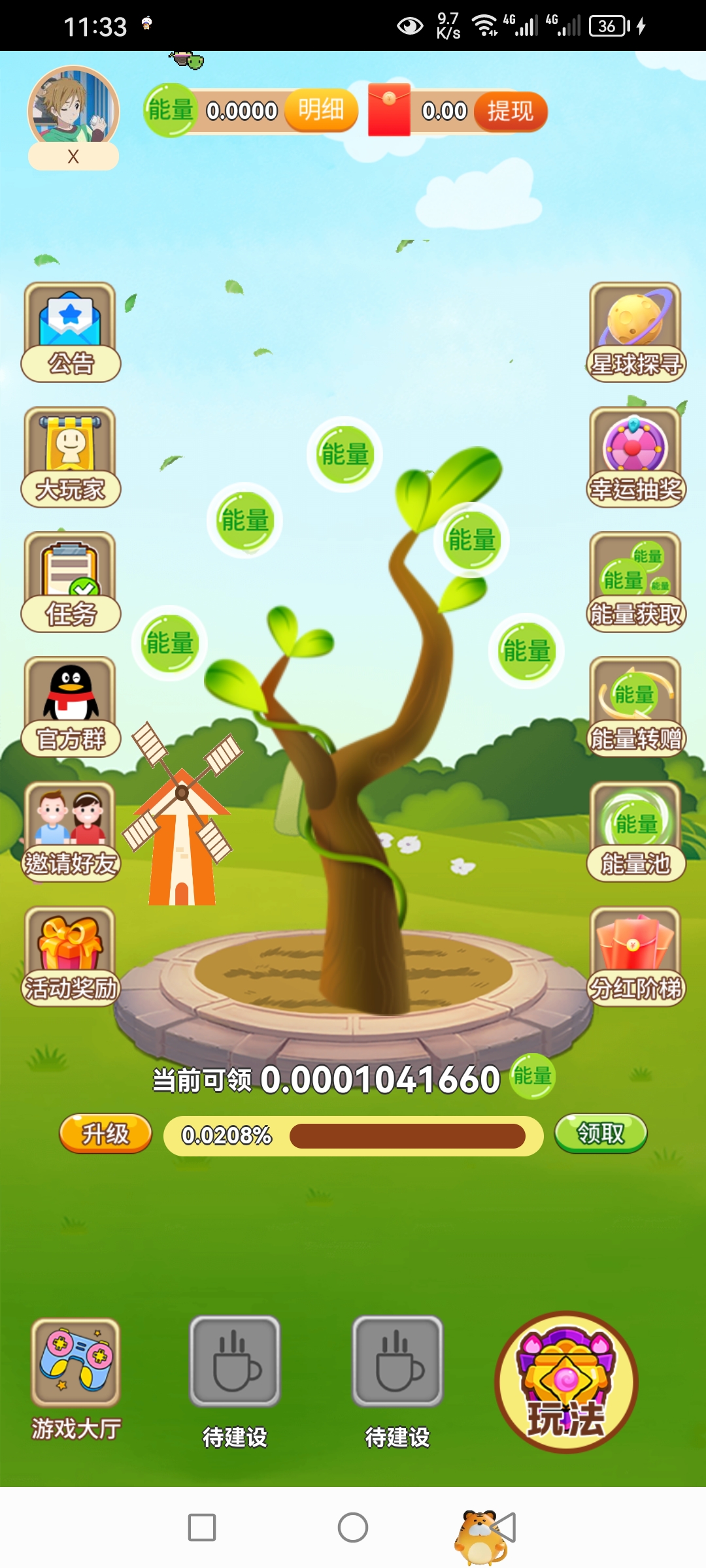 开心果树，首码已出，好项目值得拥有