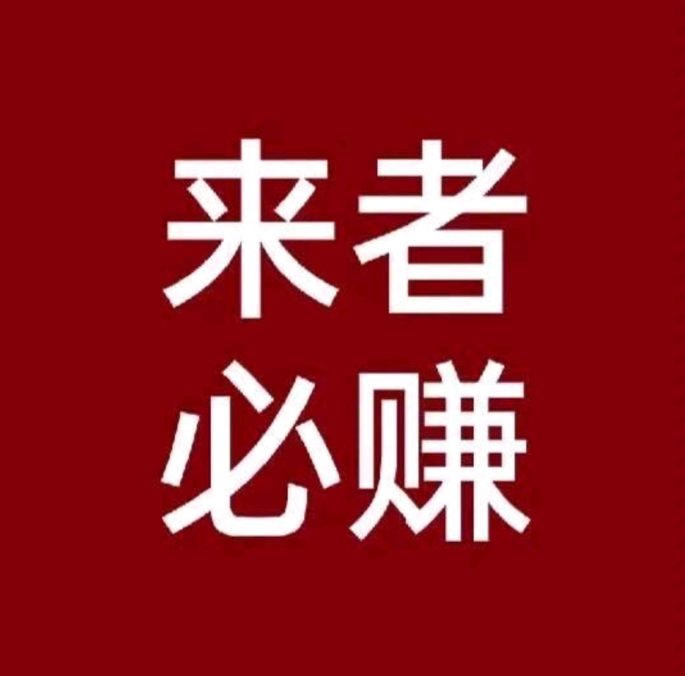掌握技巧日入500+项目