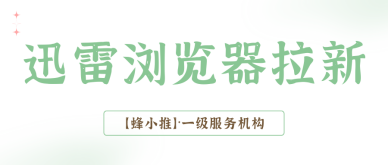 蜂小推，蓝海副业推荐！迅雷浏览器拉新适合普通人起步