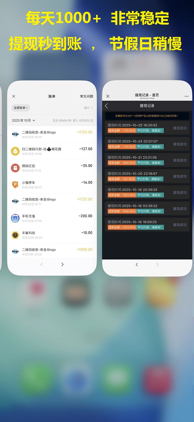图片[5]-Bingo智能科技，亲测秒到账-首码项目网