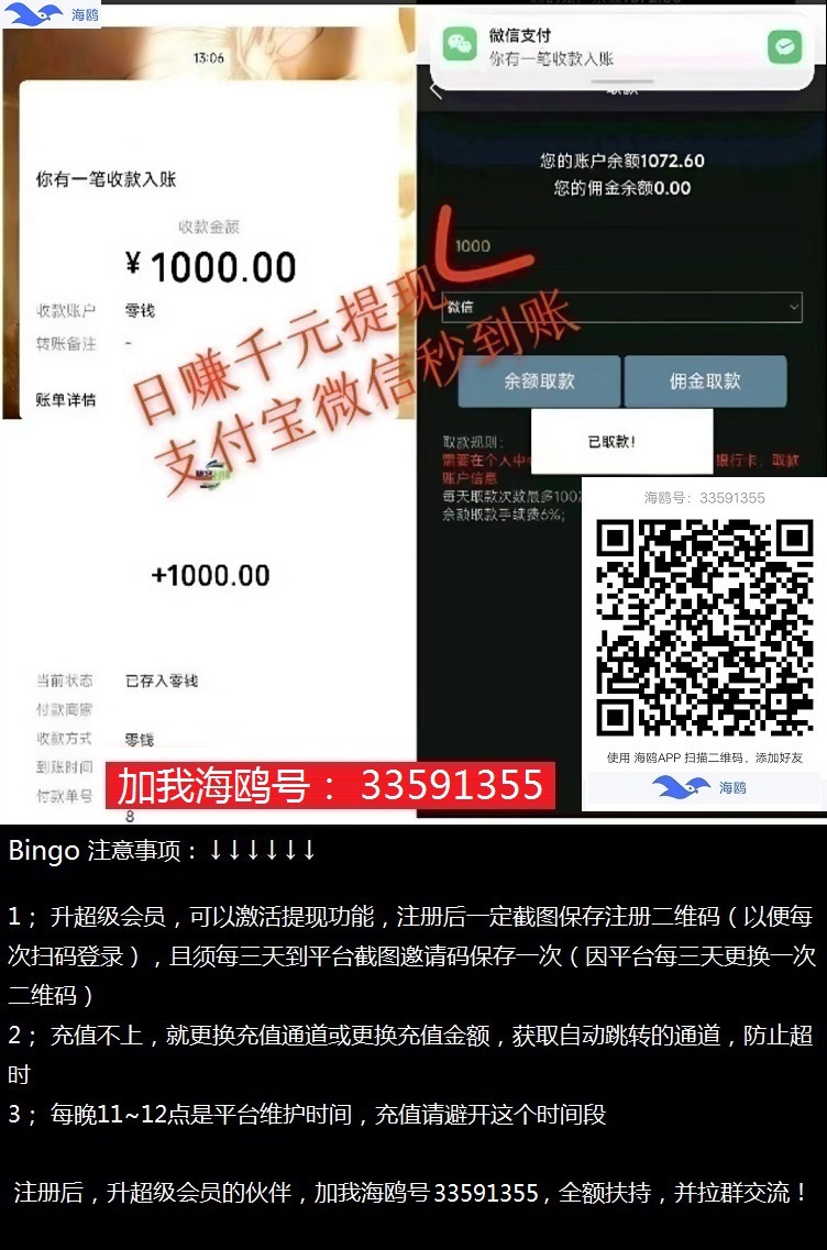 图片[4]-Bingo智能科技，亲测秒到账-首码项目网