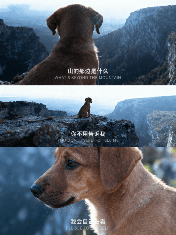 详细阅读:薄冰哥还是太权威了,我的电影感AI三宫格图片! 薄冰哥还是太权威了,我的电影感AI三宫格图片!