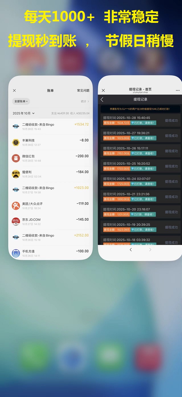 图片[6]-Bingo智能科技，亲测秒到账-首码项目网