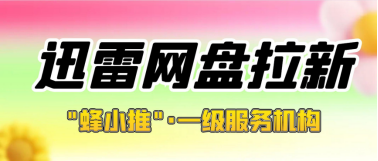 蜂小推，迅雷网盘推广想提效？先做数据复盘！！