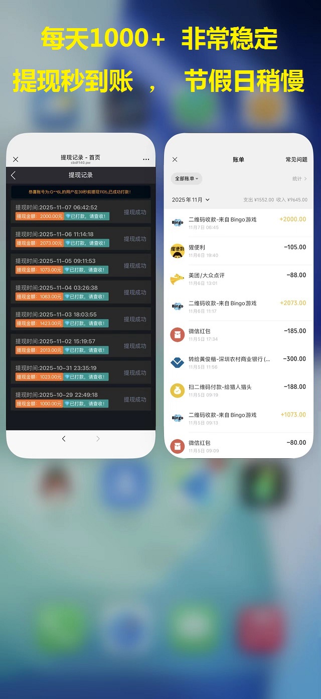 图片[5]-Bingo智能科技，亲测秒到账-首码项目网