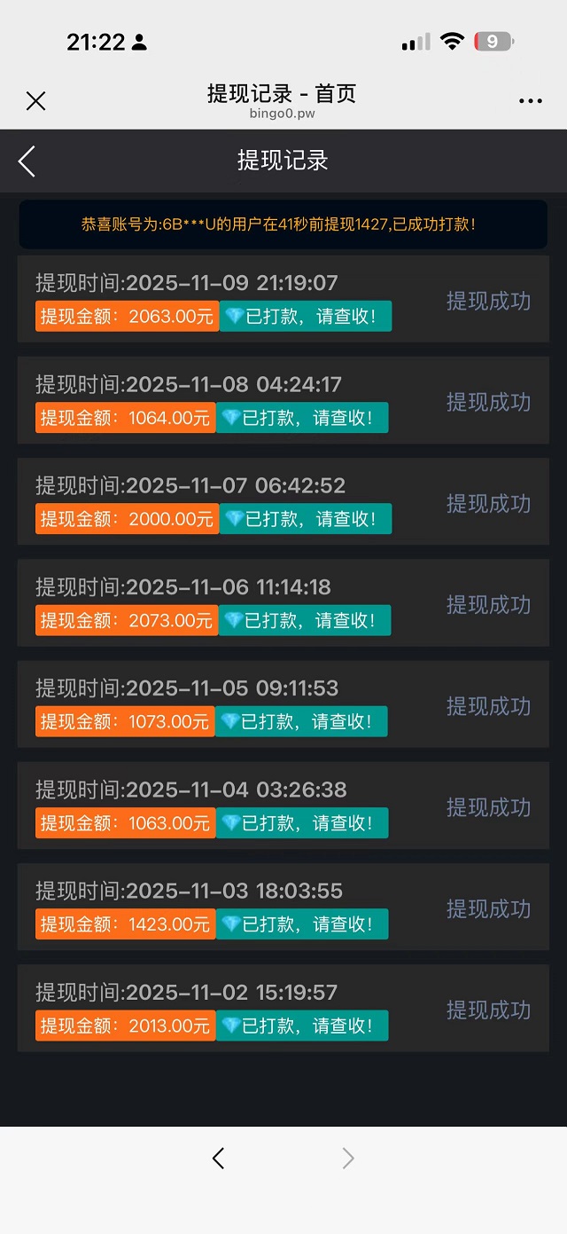 Bingo智能科技,亲测秒到账-首码项目网