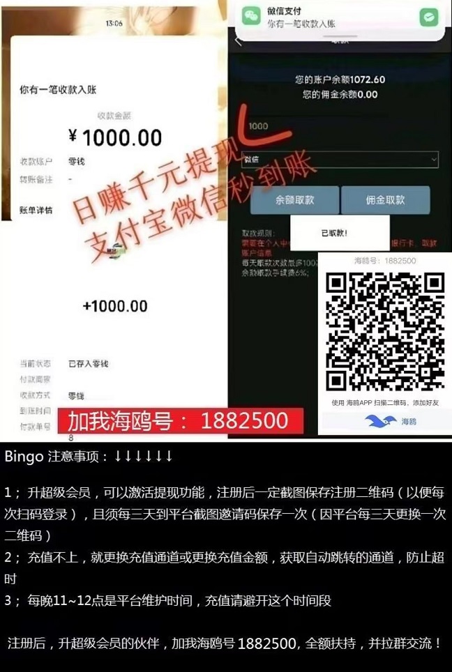 薅羊毛一次撸50,Bingo智能科技 , 日赚千元,不要充值,先联系我