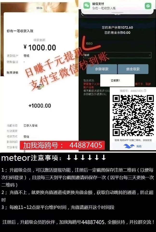 图片[5]-简单meteor，日赚千元，秒提秒到，全额扶持，拉群交流！-亿多多首码网