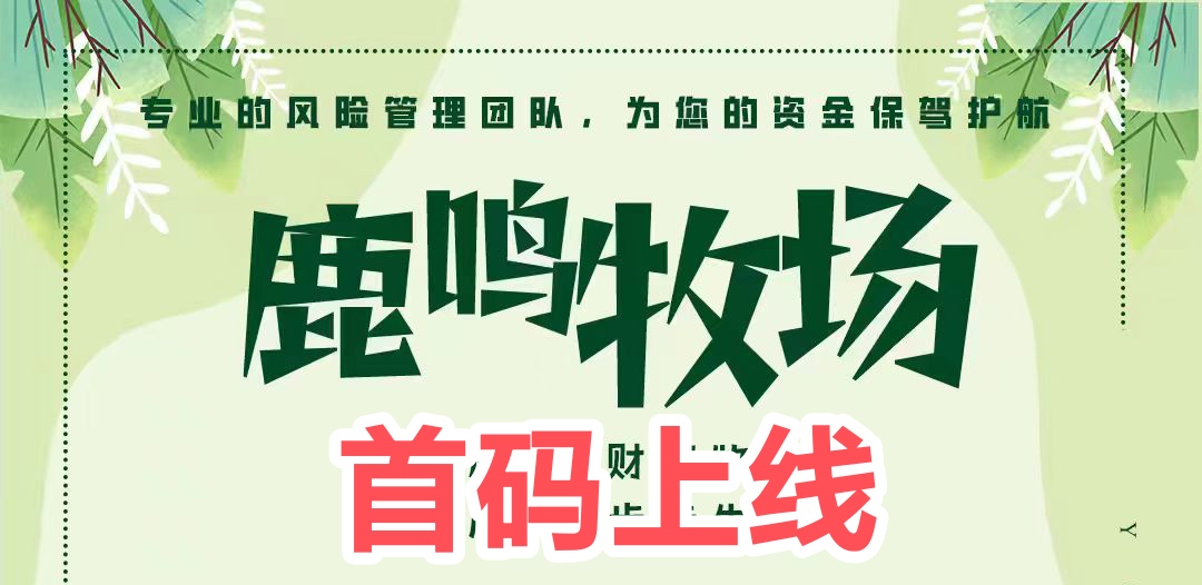 斑马-1000元 每日收益60元 45元收益2700元 