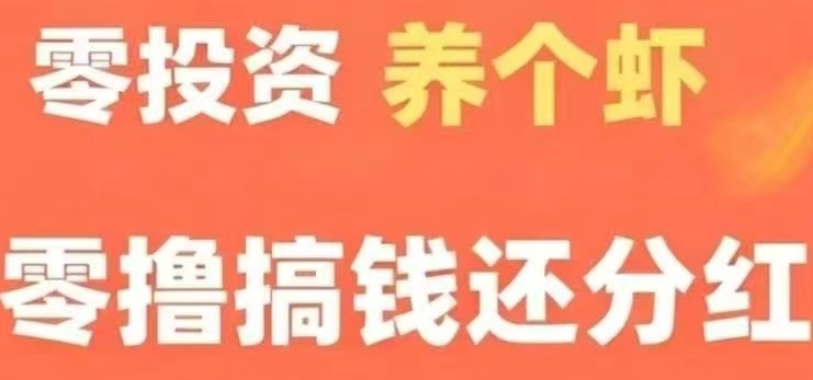 1只琻币每日分0.66元    注册即送1只金币、1只虾框、