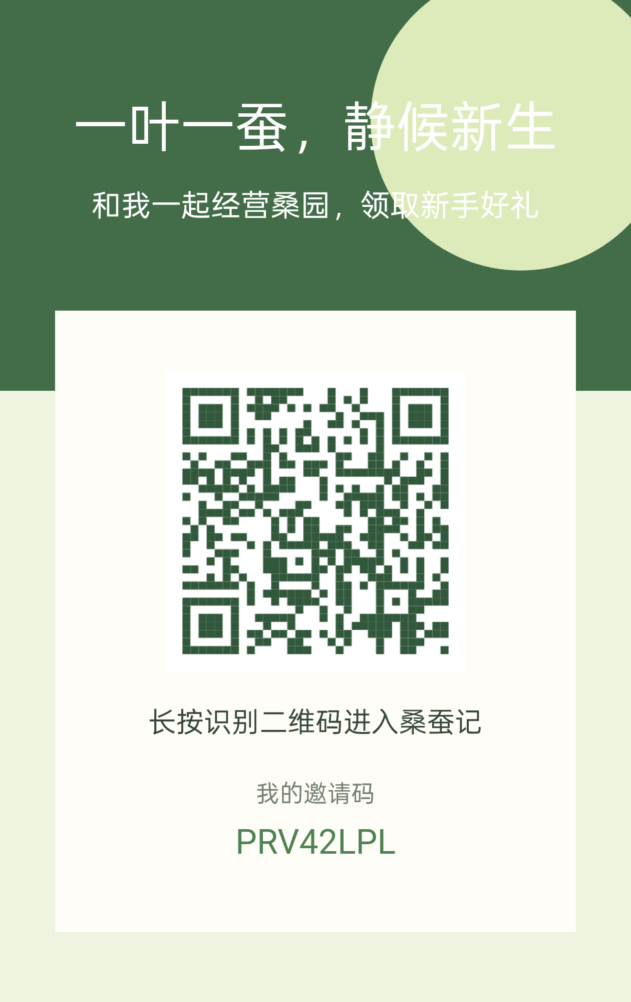 首码桑蚕记，0撸养蚕分红
